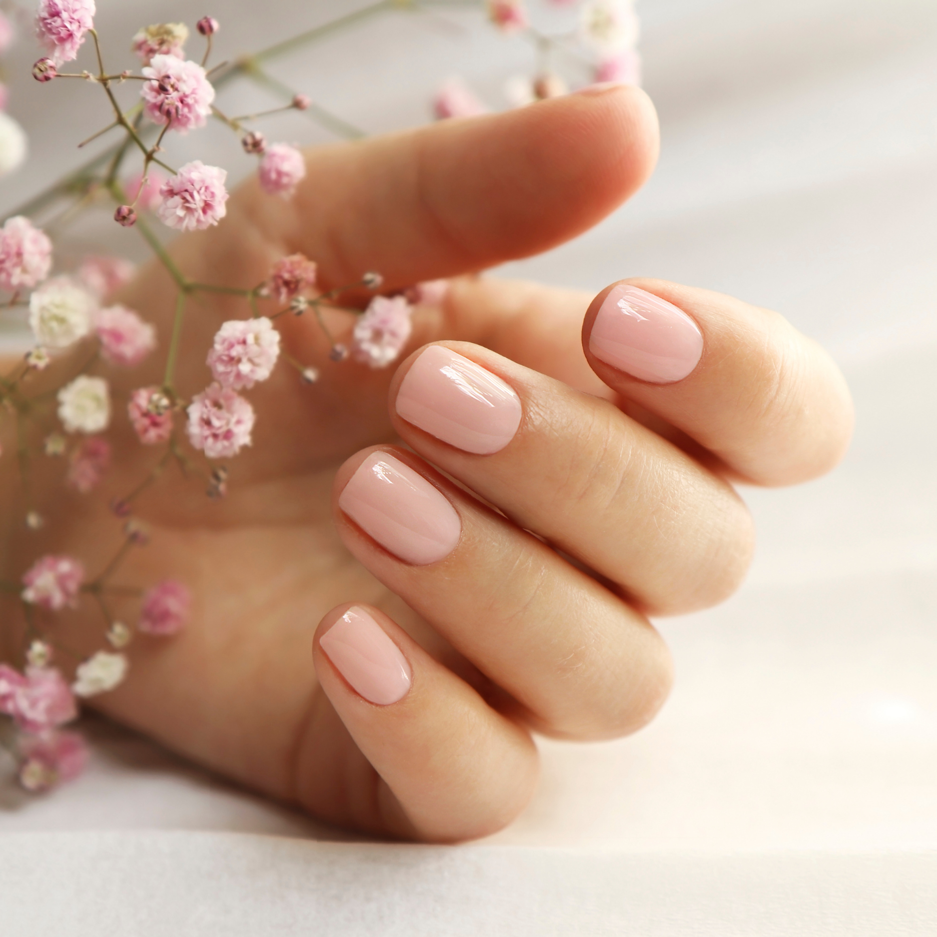 Solid Color Press on Nails (10pcs)